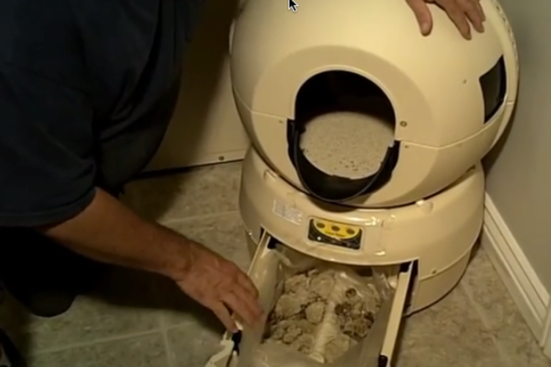A modern self-cleaning automatic litter box beside a sitting cat in a bright living room