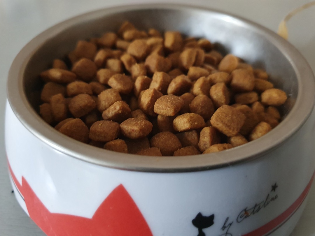 A bowl of hairball control dry cat food kibble in a cat bowl