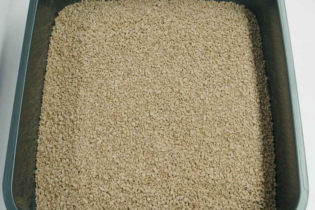 A grey plastic litter tray filled with an even layer of pale plant-based pellet litter, photographed from above