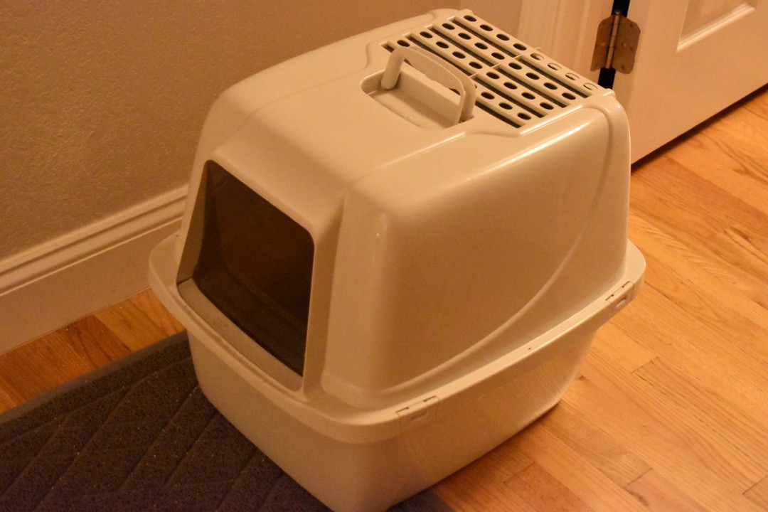 A covered plastic litter box placed against the wall in the corner of a room beside a doorway, on a hardwood floor